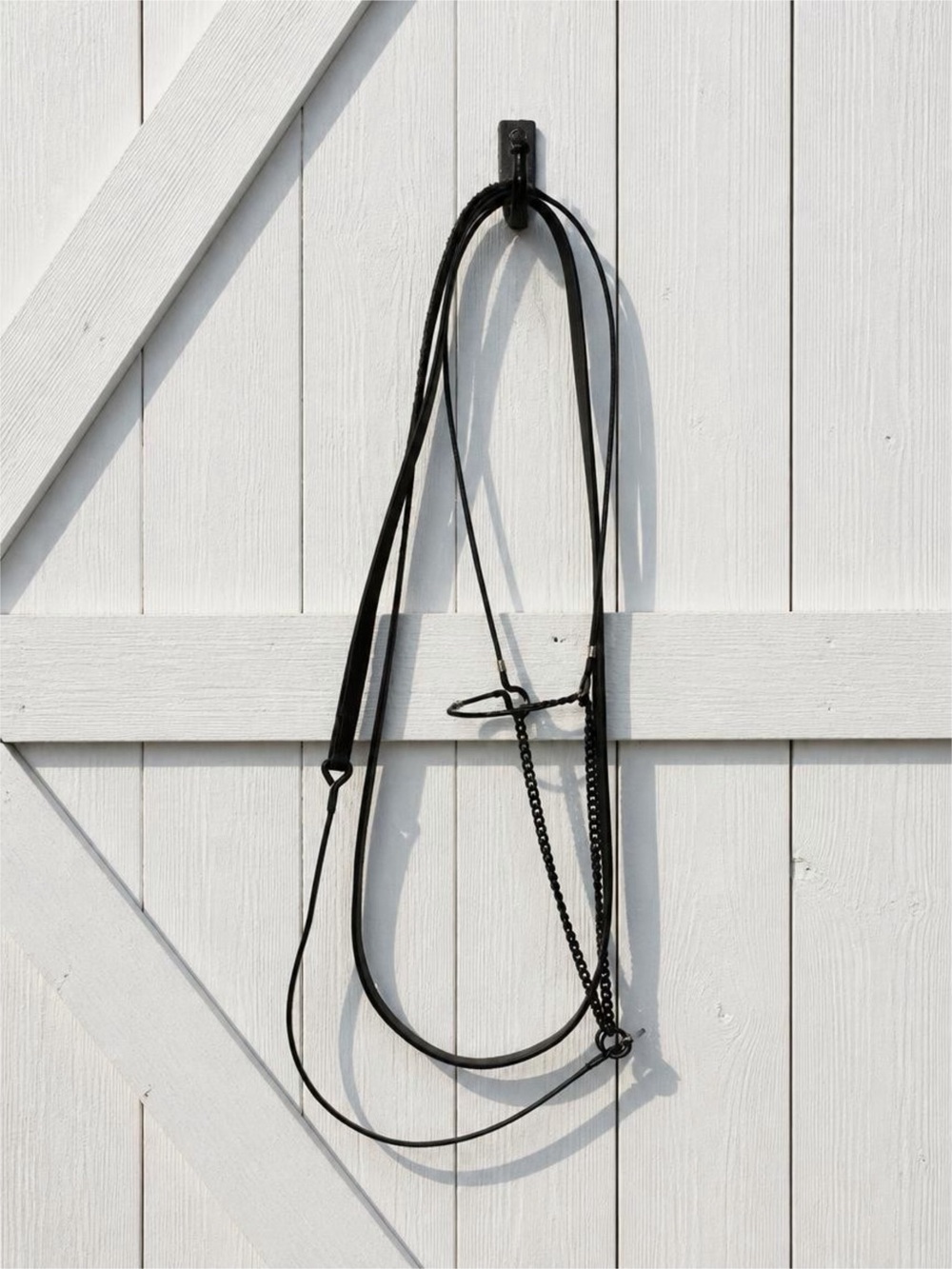 Horse Martingale Black Leather Slip Lead with Chain Stopper —